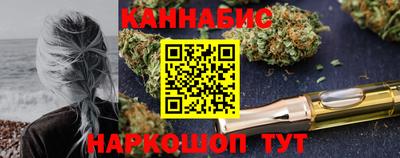 Альфа ПВП Моздок