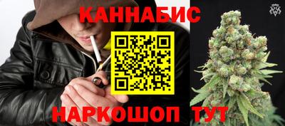 Альфа ПВП Моздок