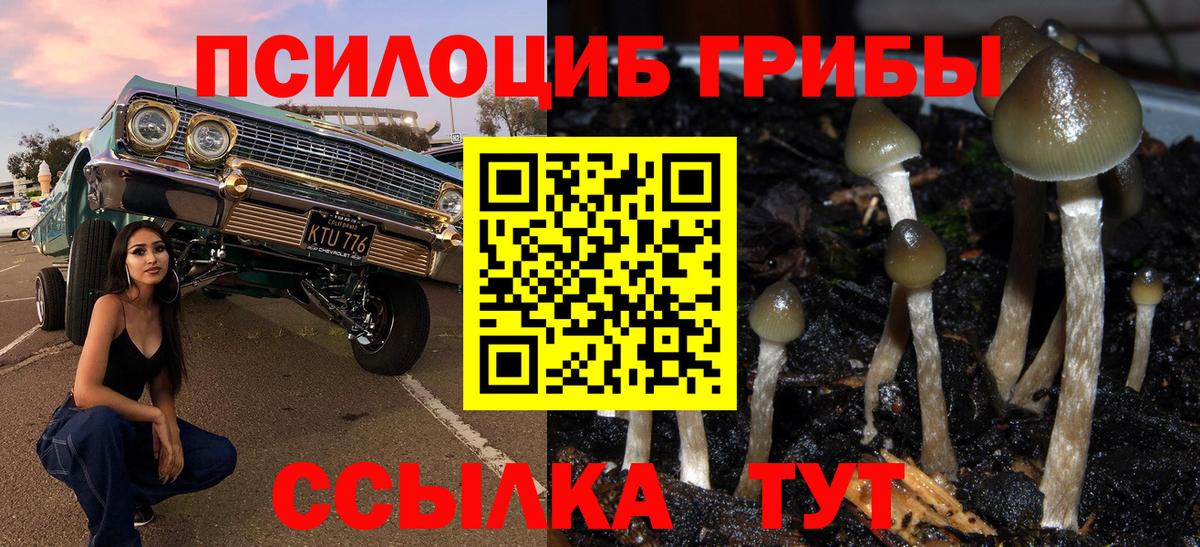 Псилоцибиновые грибы MAGIC MUSHROOMS  Вход с VPN  Псилоцибиновые грибы ЛСД  Заринск 