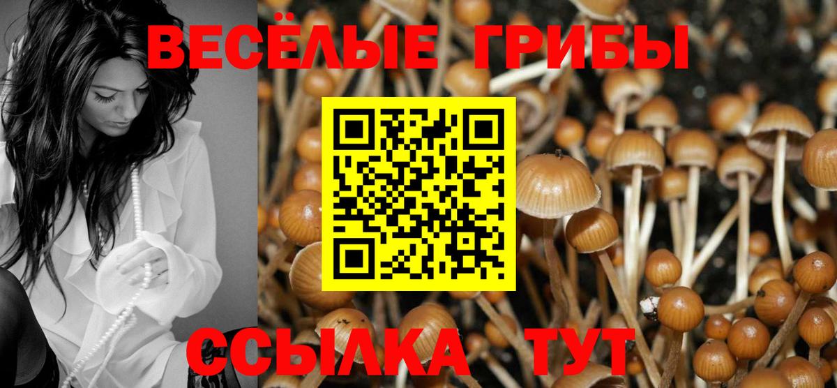 Псилоцибиновые грибы Magic Shrooms Заринск